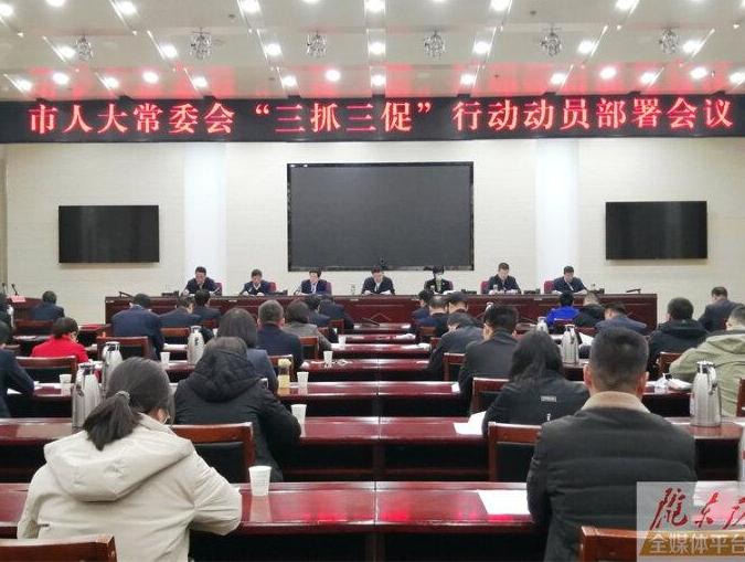 庆阳市人大常委会召开“三抓三促”行动动员部署会议