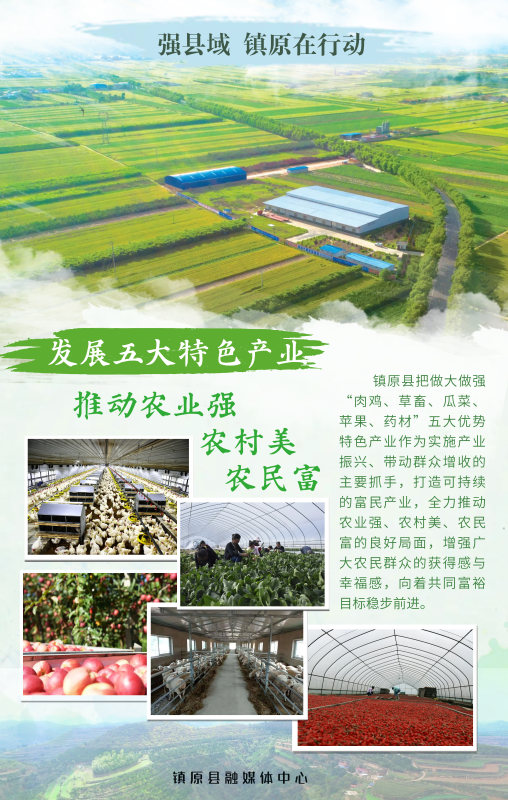 强县域 镇原在行动 | 发展五大特色产业 推动农业强 农村美 农民富