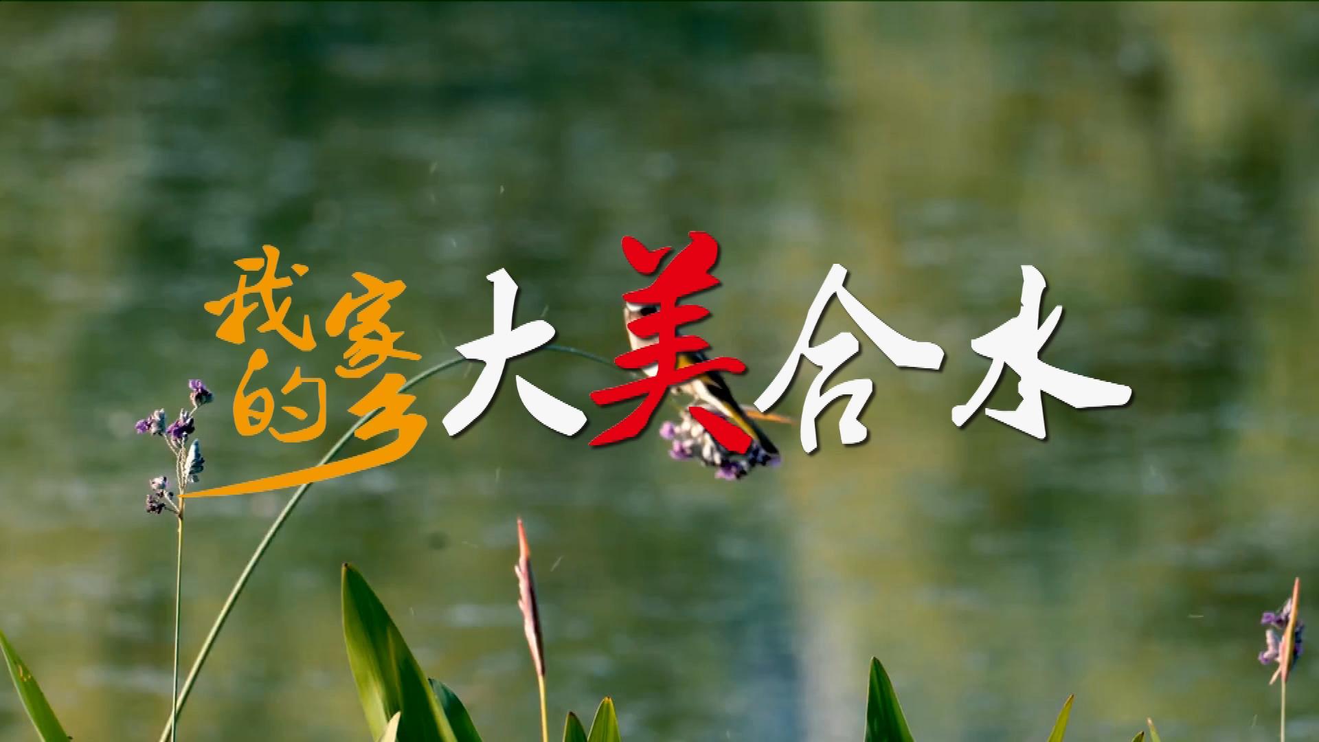 我的家乡大美合水.