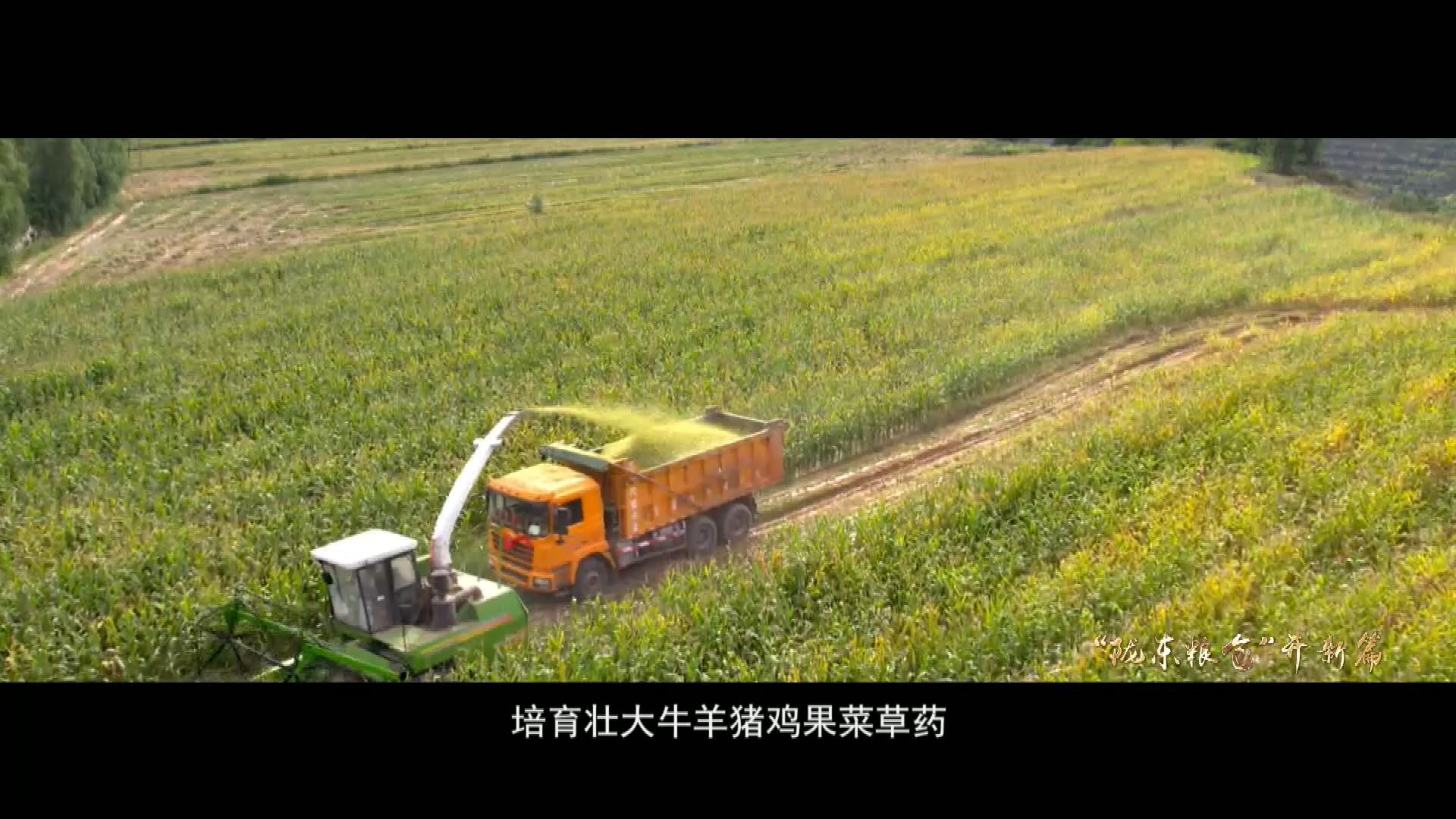 “陇东粮仓”开新篇