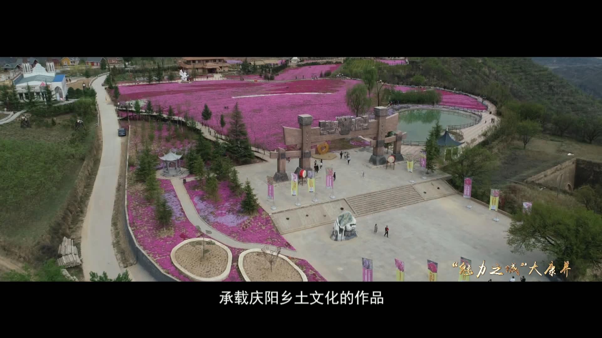 “魅力之城”大康养