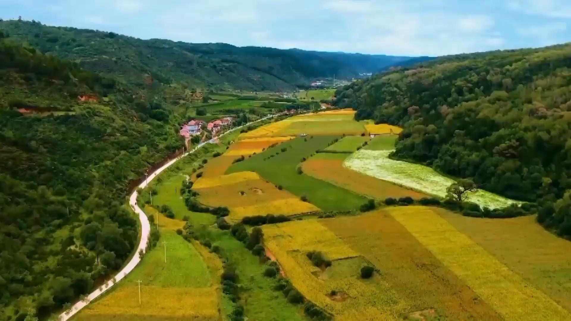 我在花溪谷等你