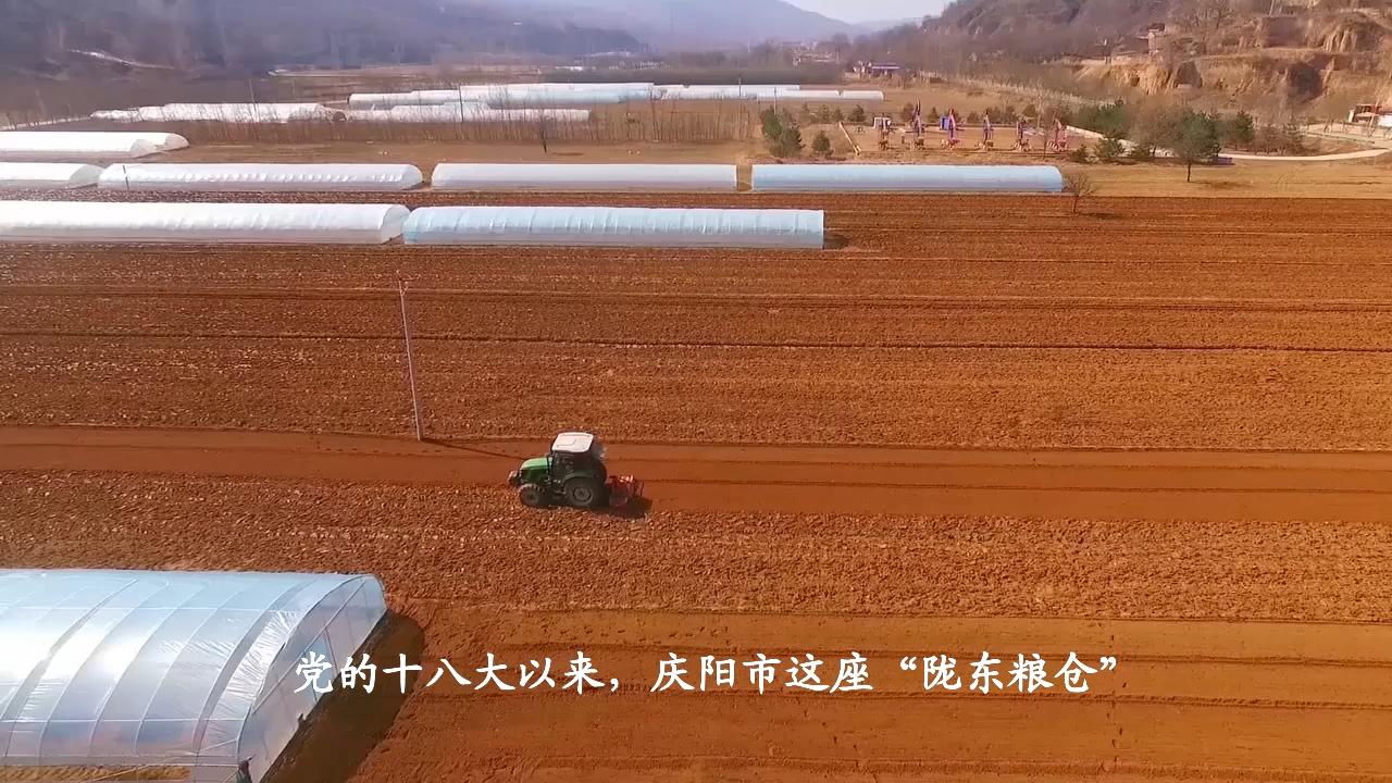 农业生产稳步提高，民生市场保障有力