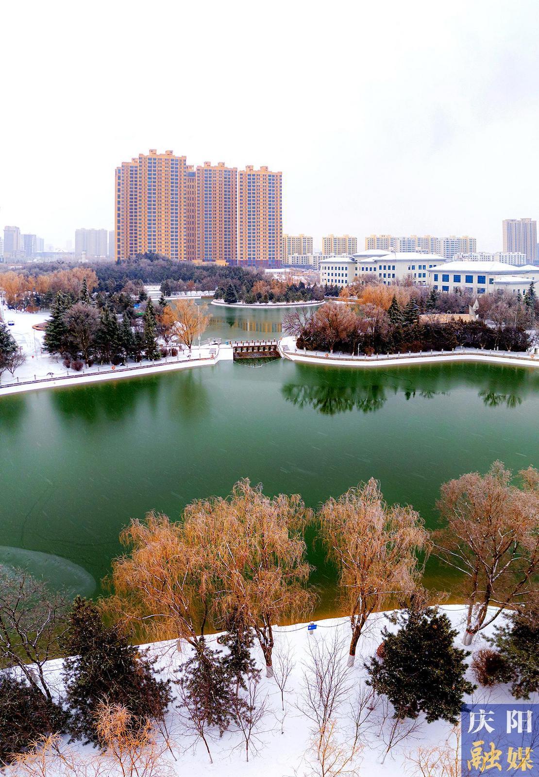 【大美庆阳】南湖春雪