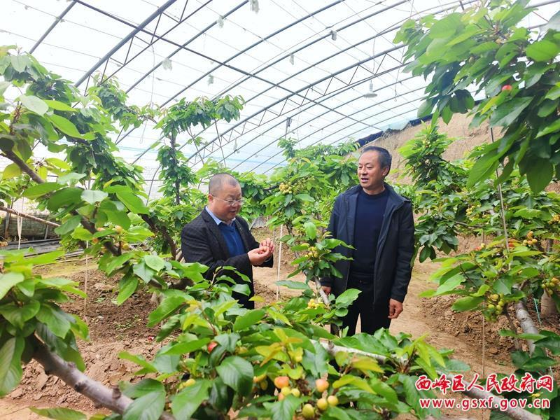 【春耕备耕进行时】 西峰区：抢抓农时春管忙