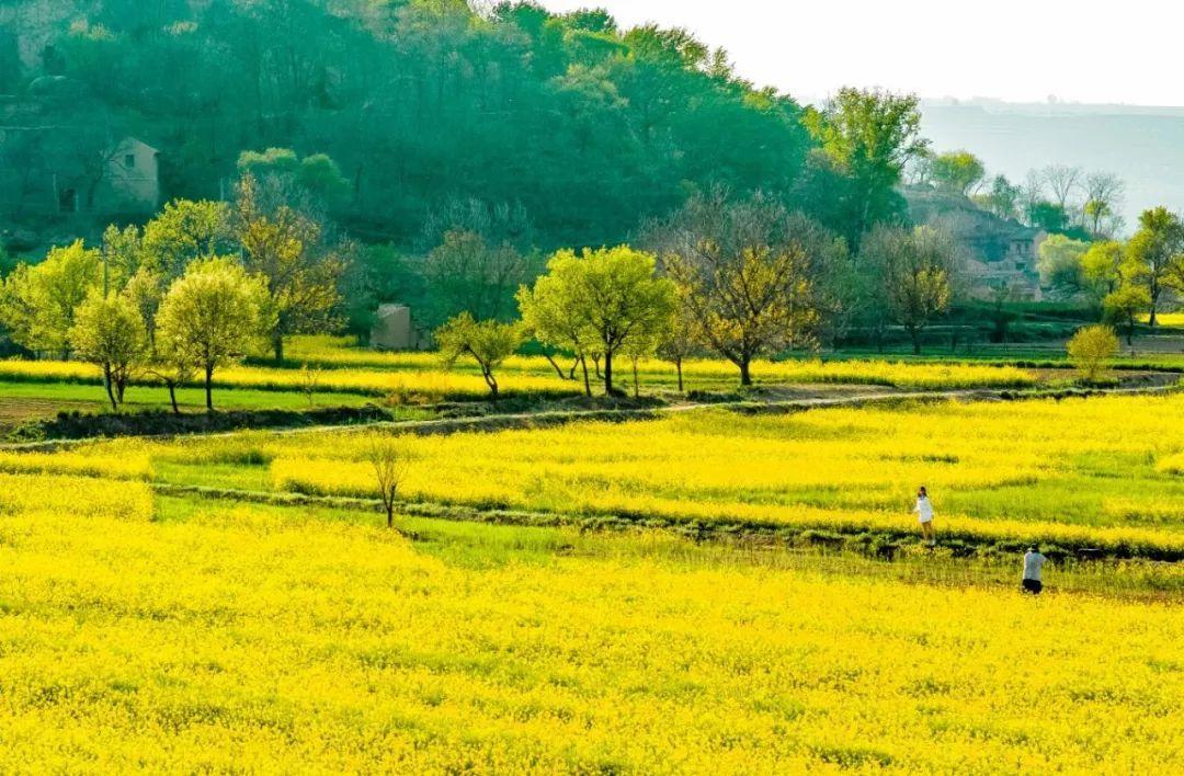 来庆阳，一起“上春山”