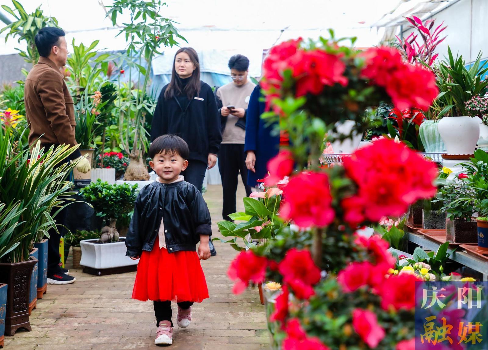 【摄影报道】西峰区：花卉市场春意浓