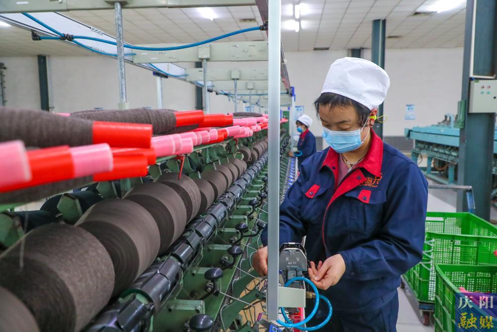 【春潮涌 绘新景】摄影报道丨镇原县山羊绒加工开足马力抢生产