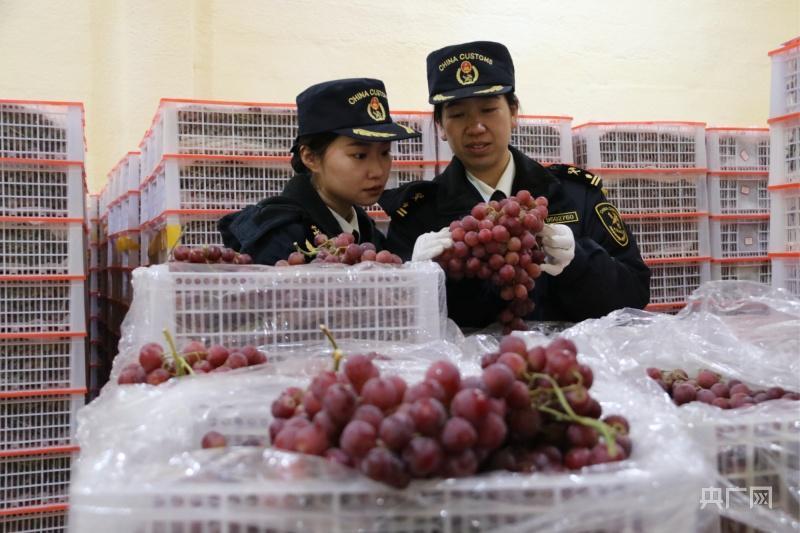 今年前2个月甘肃敦煌市外贸进出口同比增长69.8%
