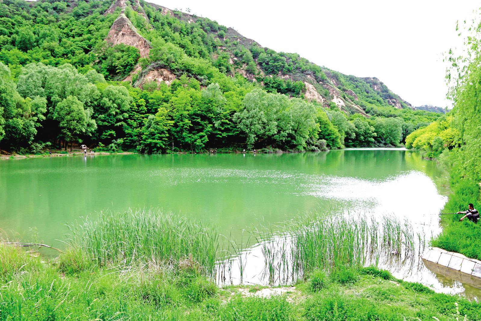 让河湖秀美安澜——庆阳市推行河湖长制工作综述