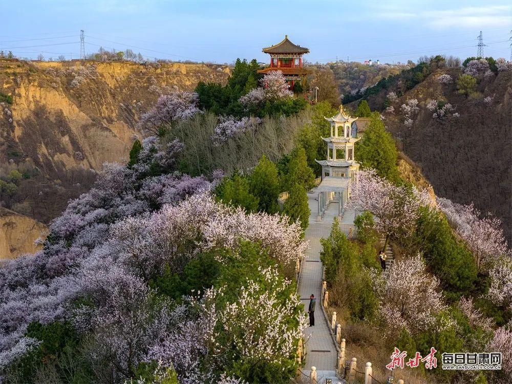 西峰小崆峒山春景如画 吸引市民纷至沓来