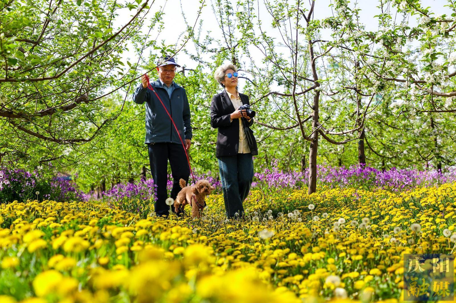 【摄影报道】梦幻果园醉游人 生态种植富果农