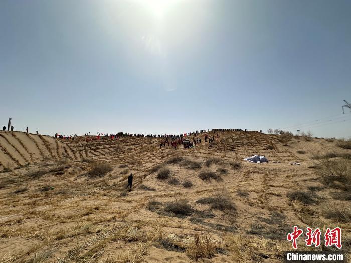 中国线上植树持续火热 西北沙区一周内迎千万余人“云种”