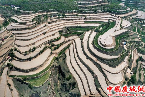 庆城县持续推进高标准农田建设 夯实粮食安全根基