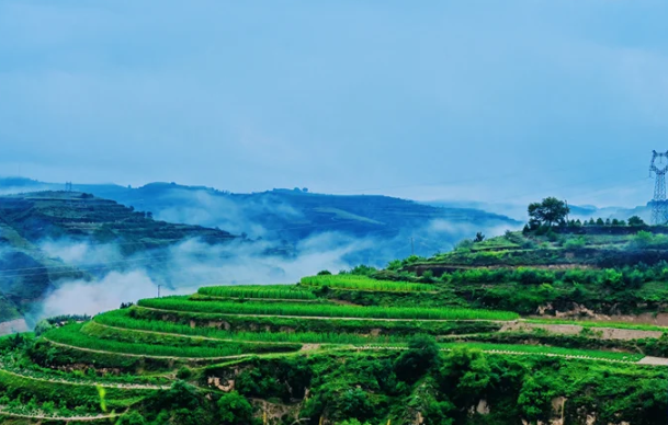 北地诗阵 | 与山同眠（迂梵）