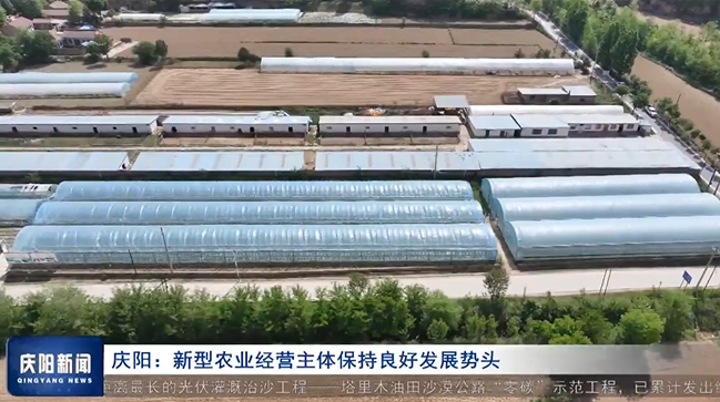 《庆阳新闻》2024年6月12日