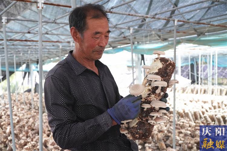 华池县巧用“红绿”钥匙 解锁发展密码