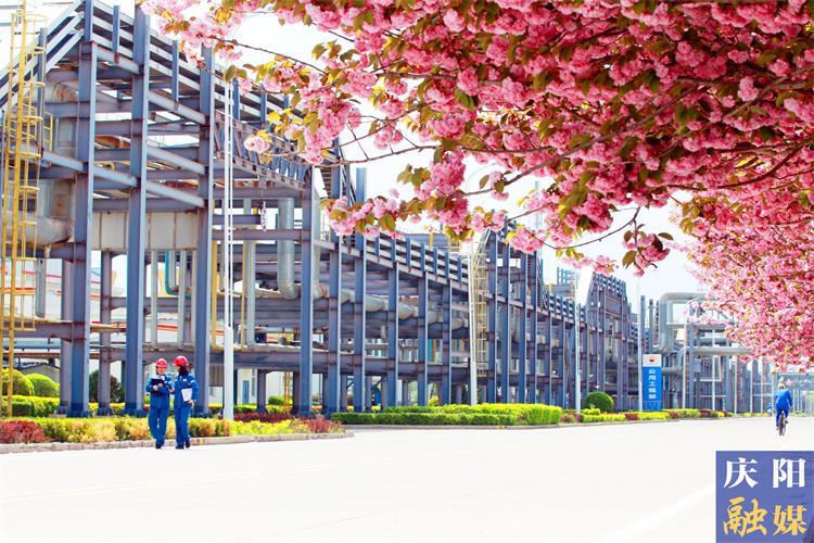 庆阳石化上半年实现“双过半”
