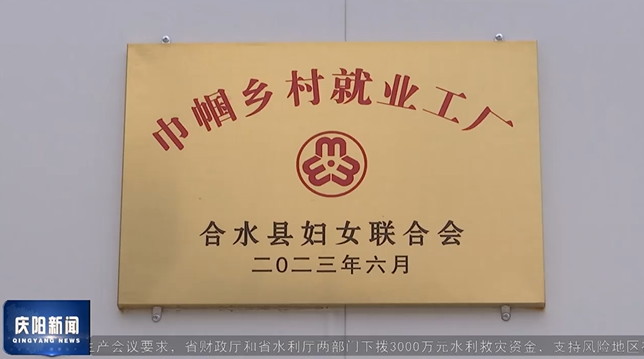 《庆阳新闻》2024年7月27日