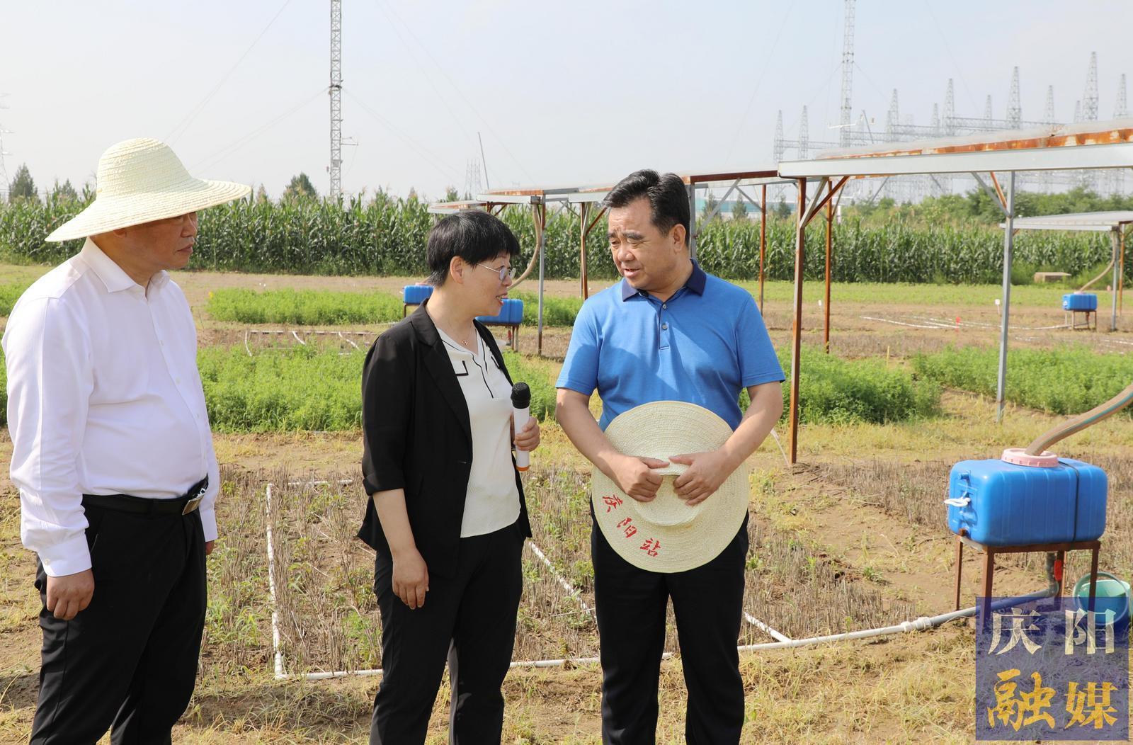 黄泽元在兰州大学庆阳草地农业试验站和市农科院调研时强调 切实提升科技成果转化率促进农民增收 加快发展农业新质生产力推动农业增效