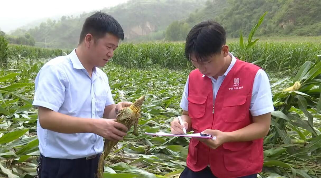 合水县全力以赴做好灾情查勘及保险理赔工作
