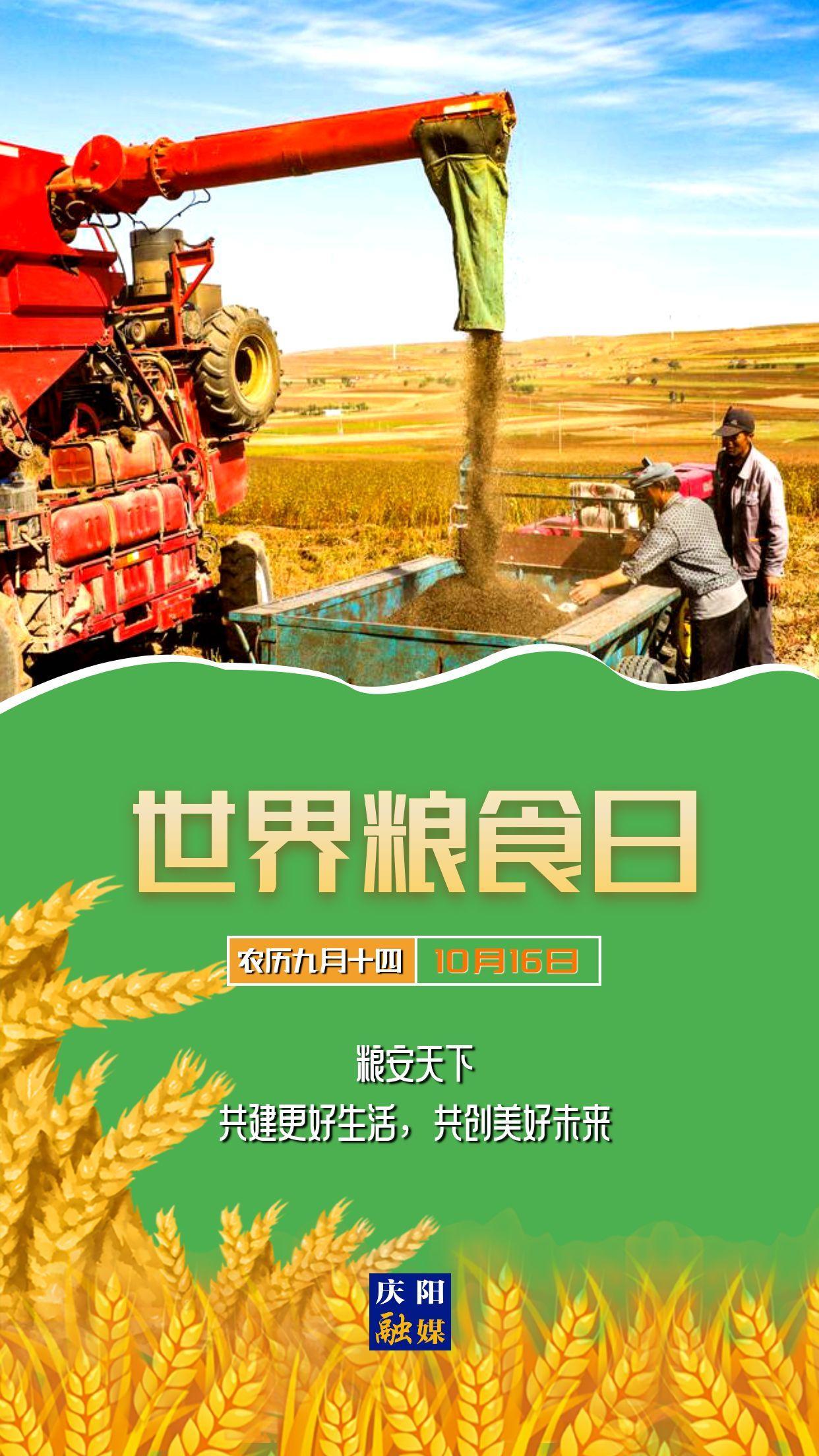 【微海报】世界粮食日 | 粮安天下，共建更好生活，共创美好未来