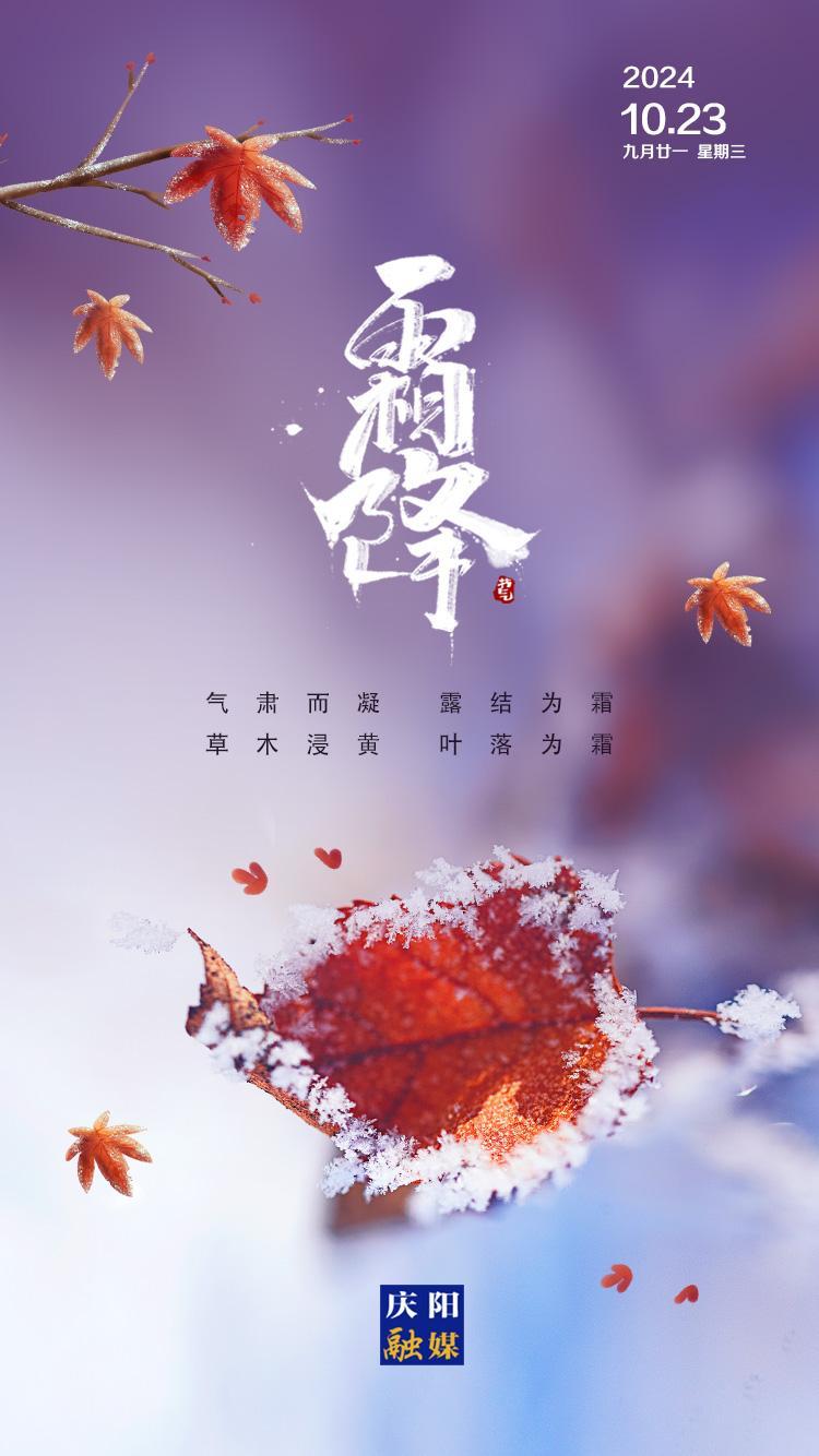 【二十四节气·霜降】微海报丨霜降叶落秋声远 露凝枝摇寒意浓