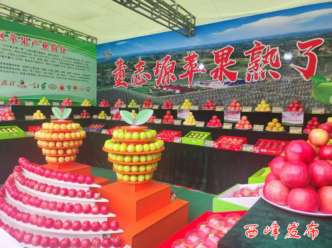品鉴营销展特色 学习交流促发展——西峰区组团参加2024年中国苹果年会暨庆阳苹果商贸洽谈会