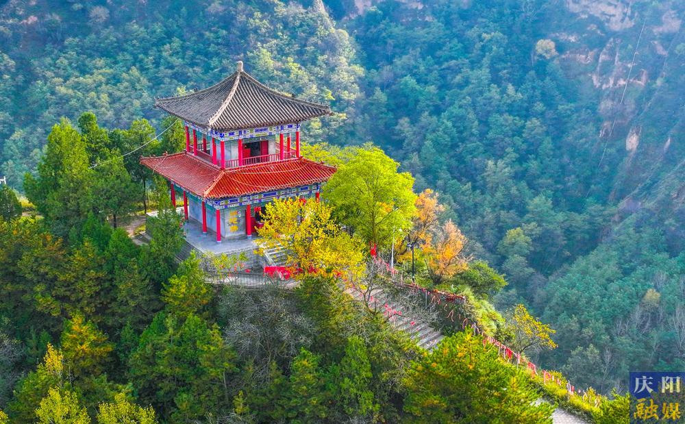 【摄影报道】天凉好个秋！一年一度醉人秋景如约而至