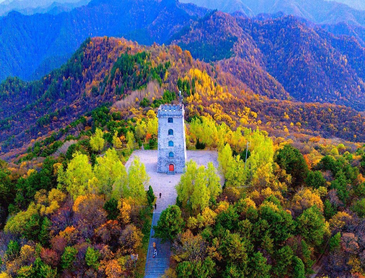 【大美庆阳】深秋子午岭