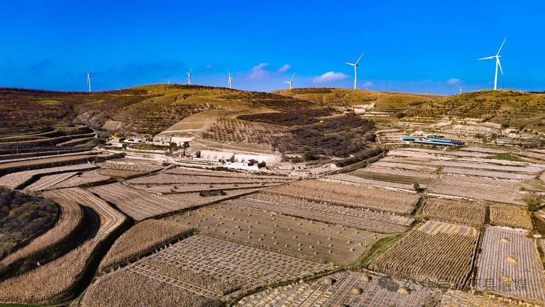 环县: 满地尽披“黄金甲” 93万亩玉米喜获丰收
