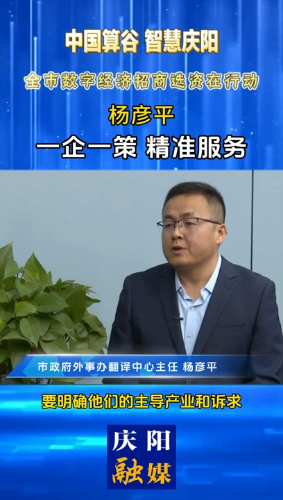 【V视】杨彦平：一企一策 精准服务