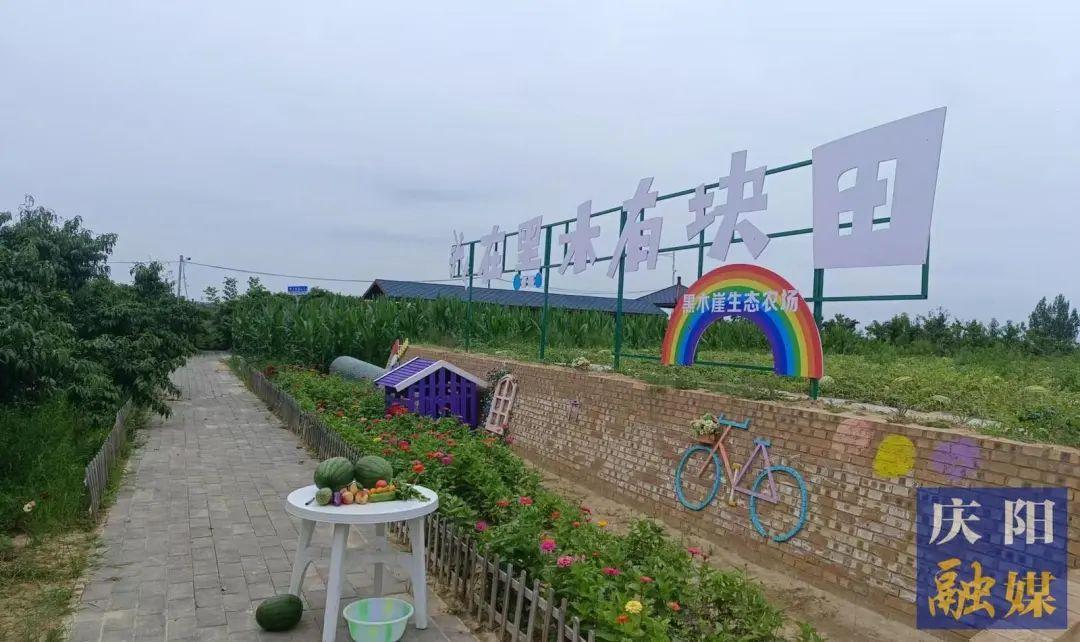 合水县太莪乡黑木村：引游到乡村 风景变“钱”景
