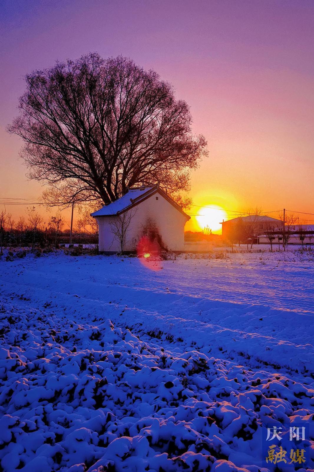 【大美庆阳】雪地晨曦