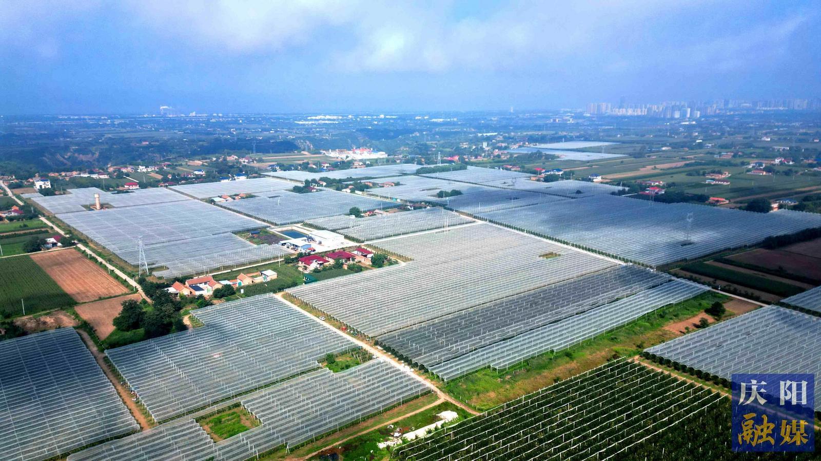 奏响农业新质生产“交响乐” ——“三元双向”循环农业模式引领我市构建现代农业产业体系