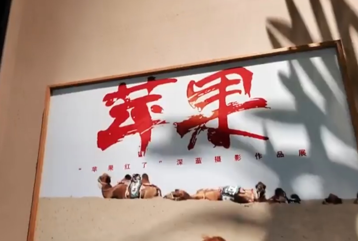 庆阳苹果“东游”记