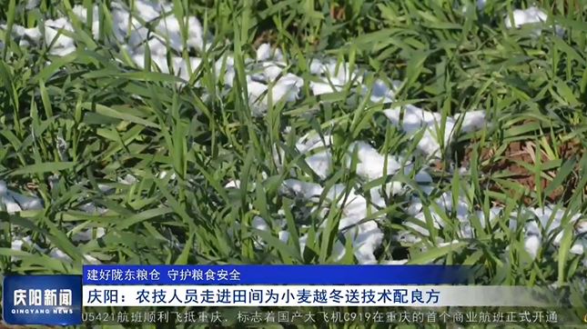 《庆阳新闻》2024年12月4日