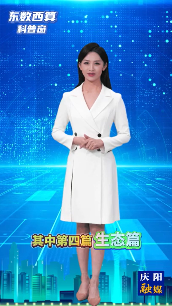 【东数西算科普窗(10)】庆阳“东数西算”工程的“1+2+N”产业生态体系是什么？