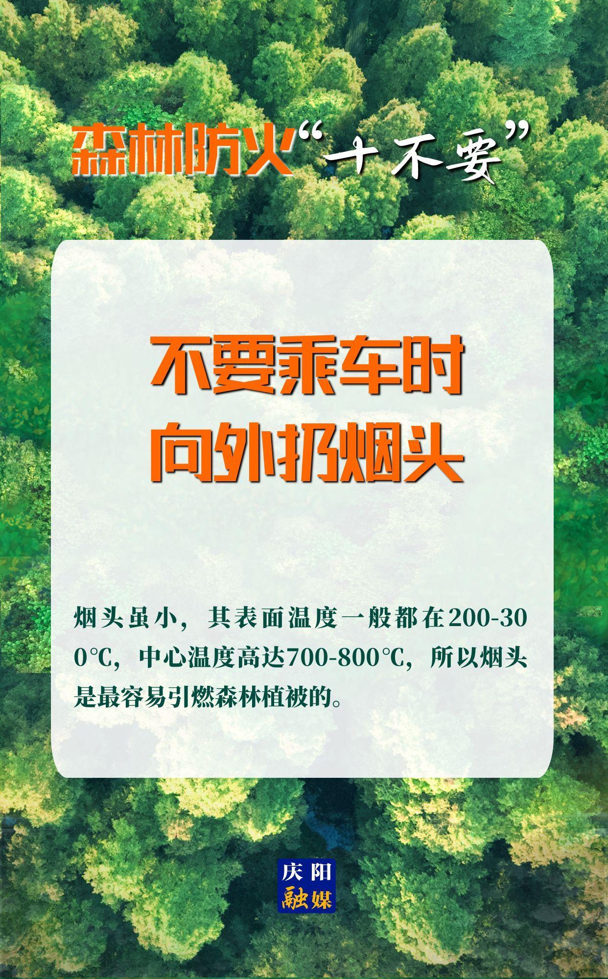 【微海报】森林防火“十不要”⑧丨不要乘车时向外扔烟头