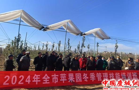 开展技术培训 提升管理水平庆阳市冬季果园管理技术培训在庆城县拉开帷幕