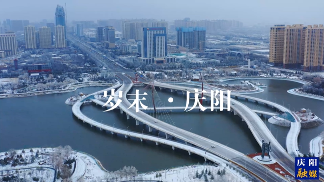 【回眸2024】短视频里的精彩回忆