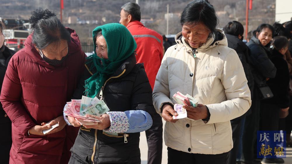 【摄影报道】华池：龙头企业示范带动  中药材种植户喜获百万分红