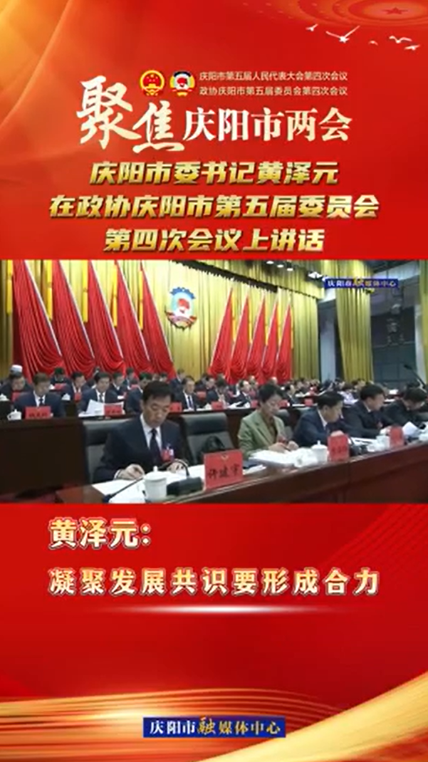 两会V视(21) | 黄泽元：凝聚发展共识要形成合力