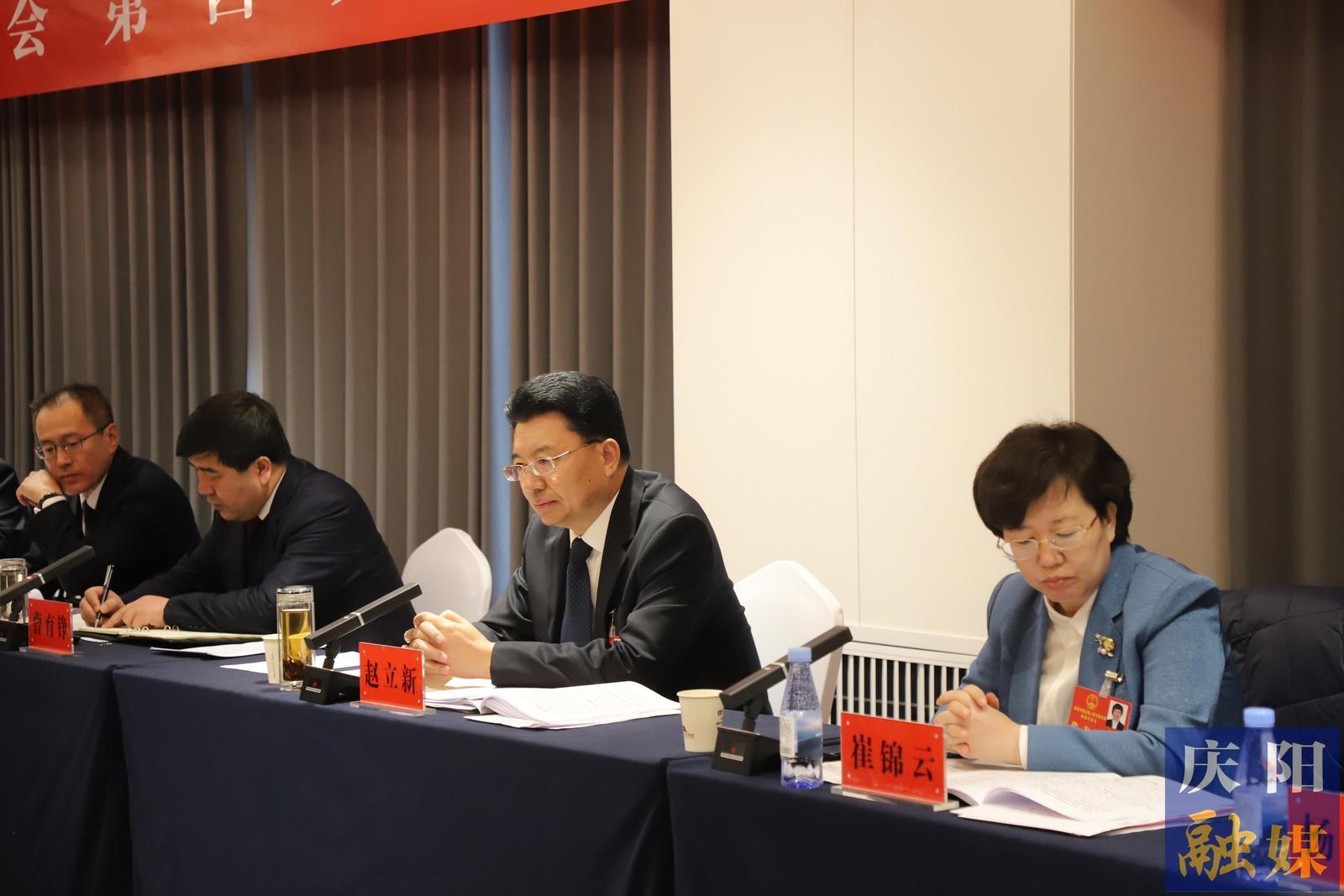 赵立新在参加环县代表团审议时强调 真抓实干 拼搏争先 努力在推进中国式现代化庆阳实践中挺膺担当