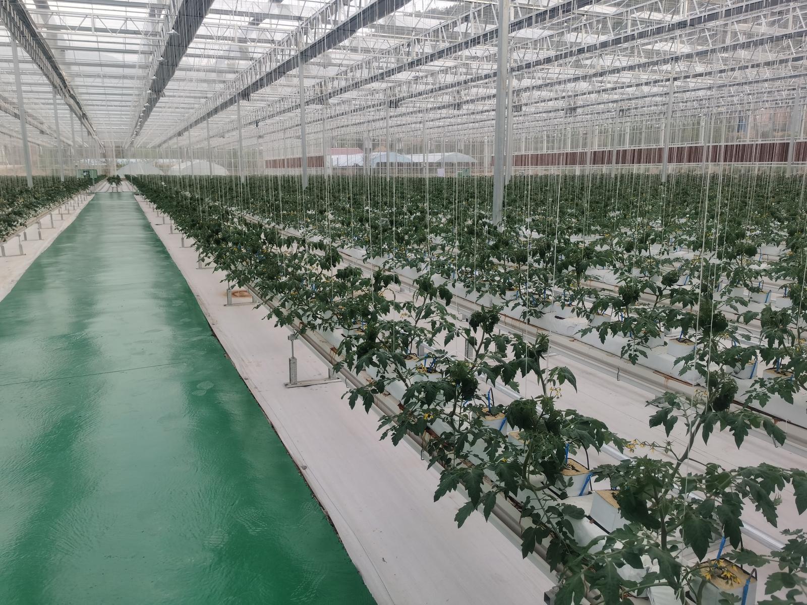 镇原：招商引资拉动县域经济高质量发展