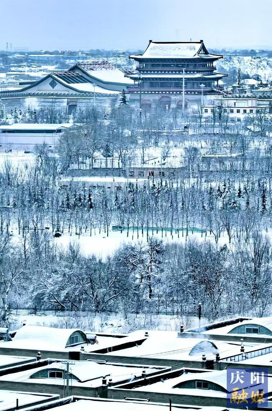 【大美庆阳】城南雪景