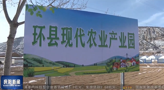 《庆阳新闻》2025年2月14日