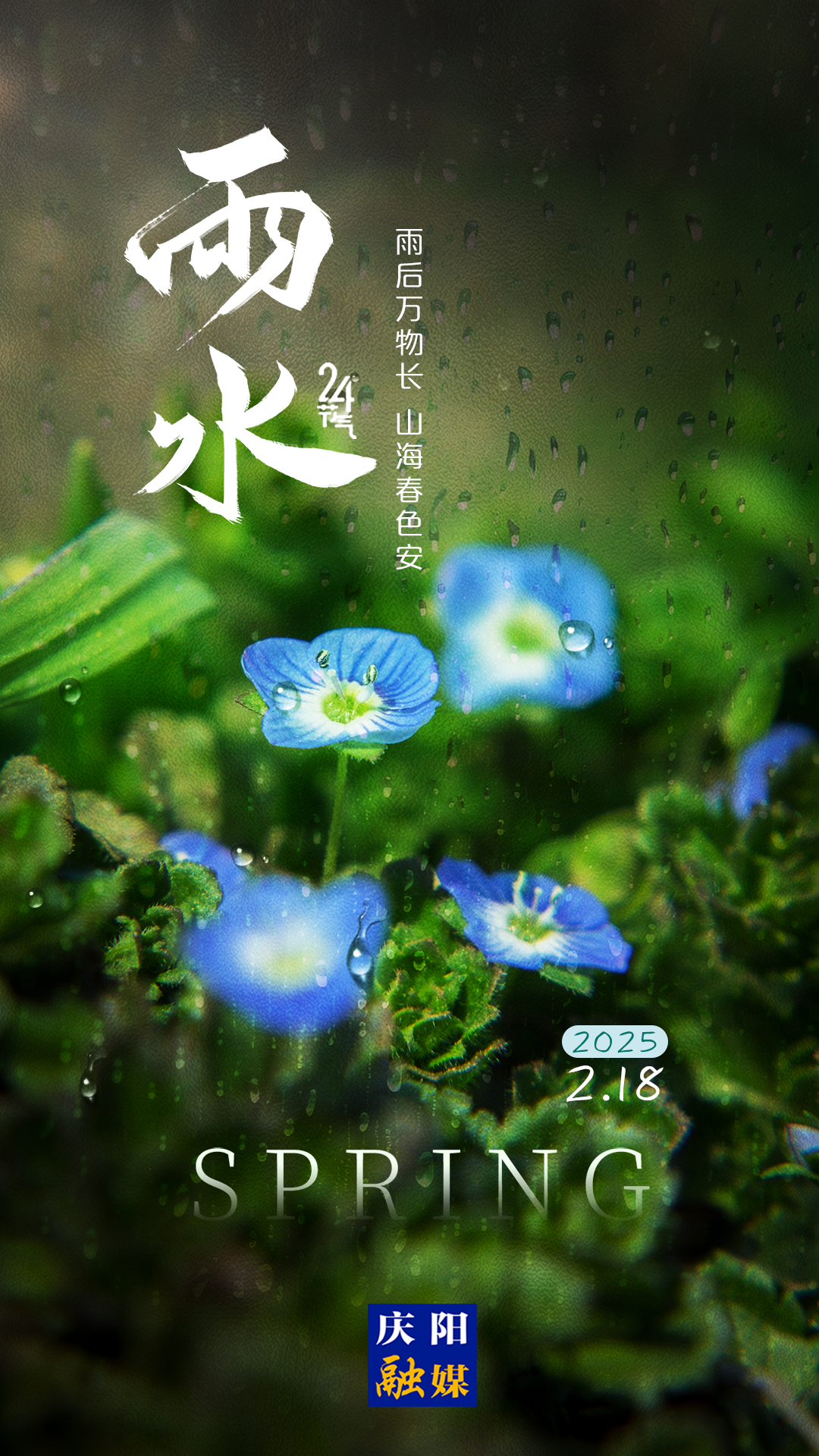 【二十四节气·雨水】长图 | 好雨知时节 当春乃发生