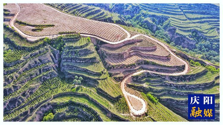 创新推动 多措并举 庆阳林草工作亮点频出传佳绩