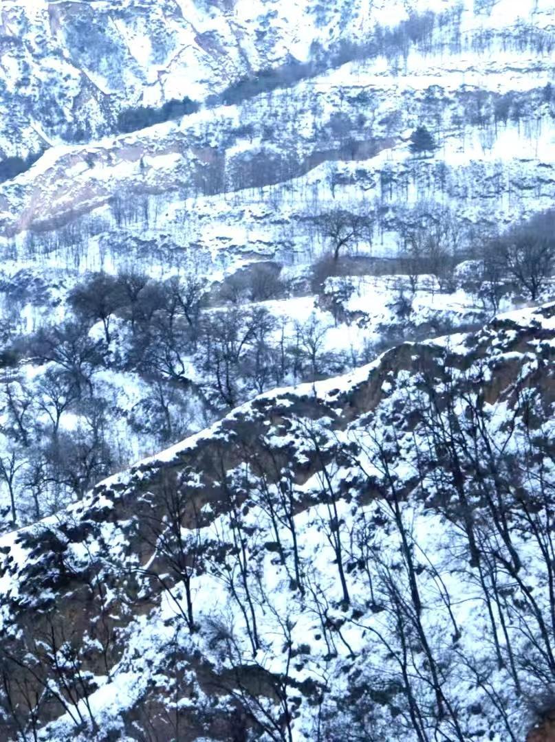 【大美庆阳】春山负雪